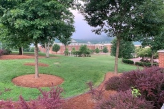 The beautiful campus of Western Carolina University